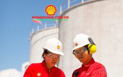 báo giá dầu nhớt công nghiệp hôm nay