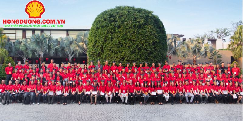 Hồng Dương hợp tác với SK Leaveo