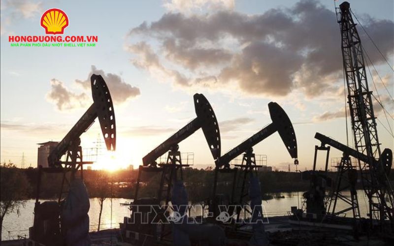 thị trường dầu nhớt thế giới 2026