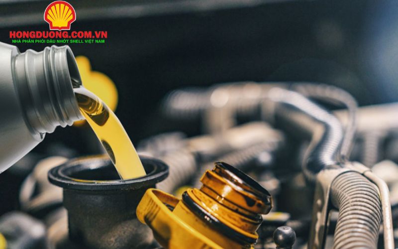 thị trường dầu nhớt thế giới 2026