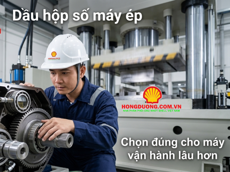 dầu hộp số máy ép