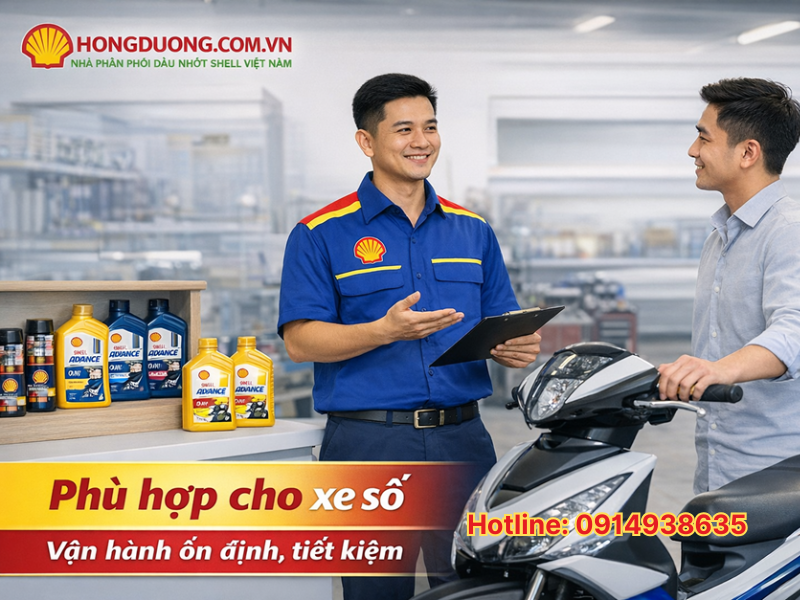 dầu nhớt Shell Advance dùng cho xe gì