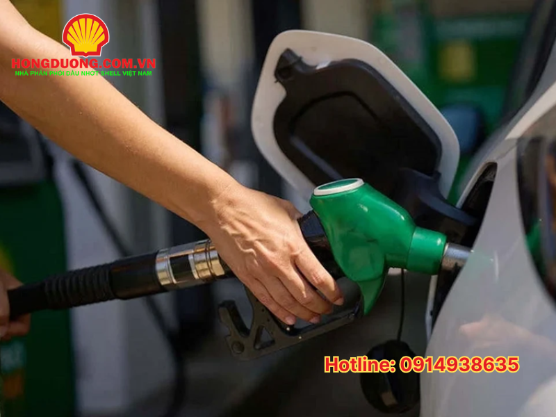 giá xăng dầu hôm nay 