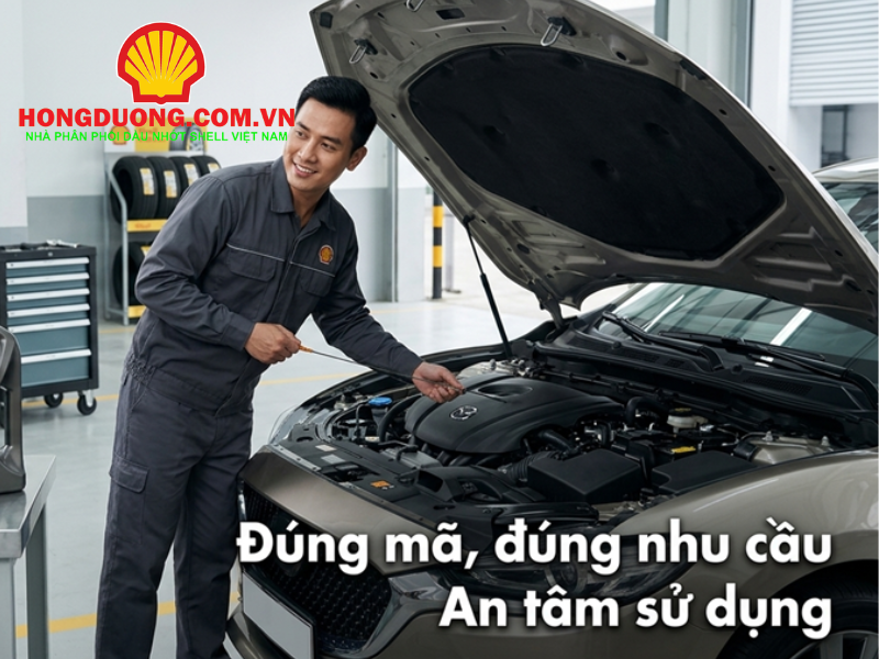 shell helix ultra 5w30 giá bao nhiêu 