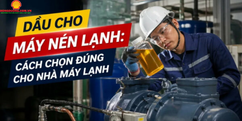 dầu cho máy nén lạnh