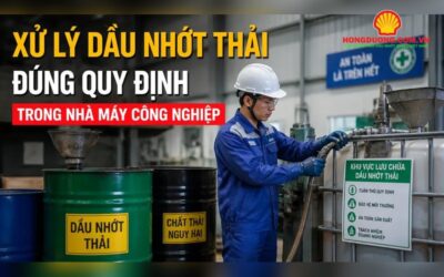 nguon phat sinh dau nhot thai trong nha 4