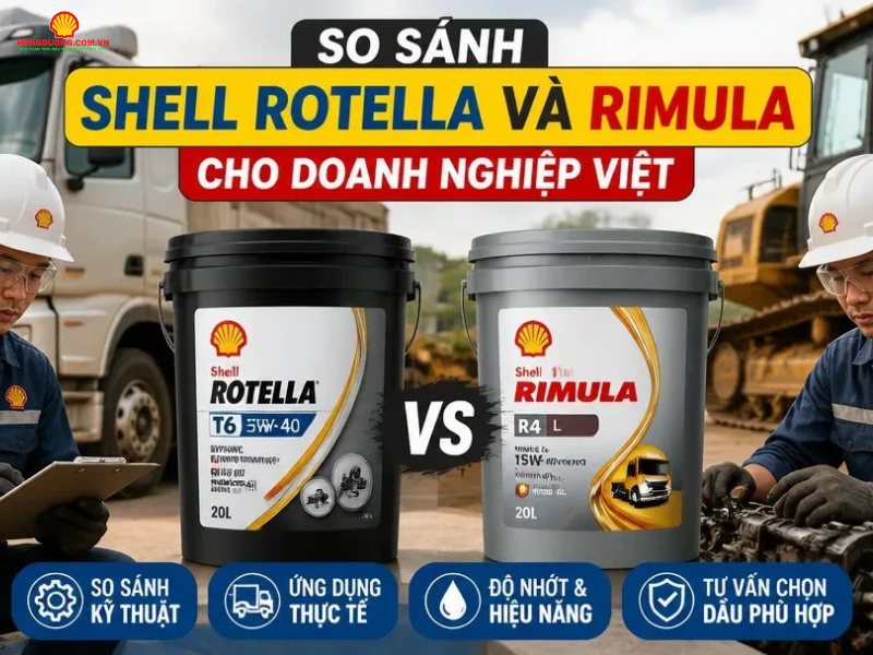 so sanh shell rotella va rimula