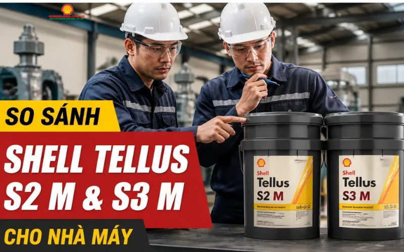 So sánh Shell Tellus S2 M và S3 M loại nào phù hợp hơn? so sanh shell tellus s2 m va s3 m