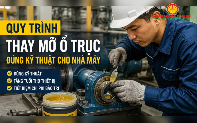 thumbnail quy trinh thay mo o truc dung ky thuat cho nha may 800x500 1