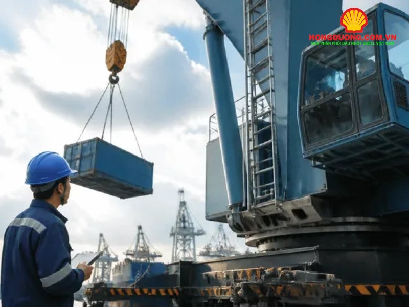 Dầu nhớt sinh học là gì? Tiêu chuẩn, ứng dụng và cách chọn cho doanh nghiệp Kỹ thuật viên giám sát cần cẩu nâng hàng tại cảng biển